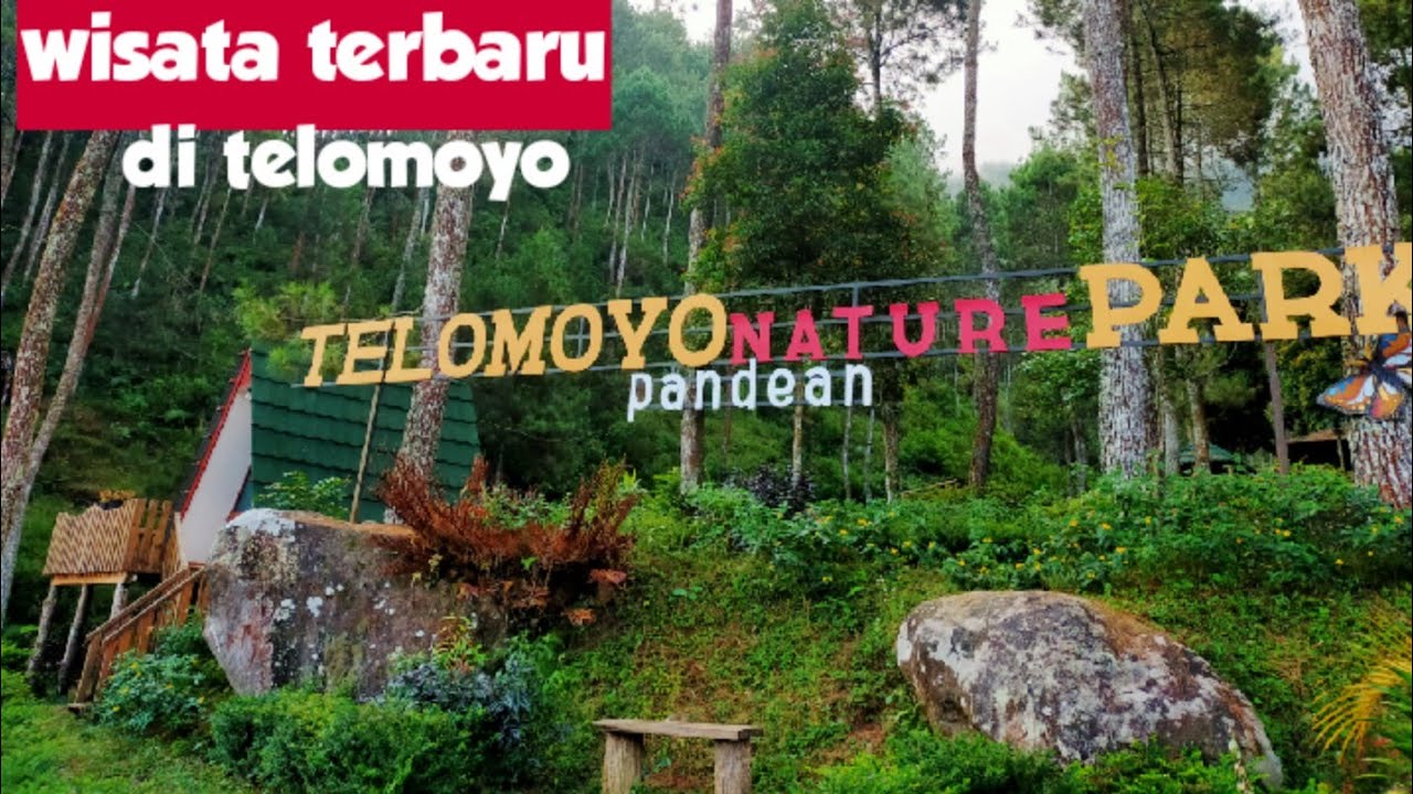 Telomoyo Nature Park: Menjelajahi Pesona Alam di Lereng Gunung Merapi